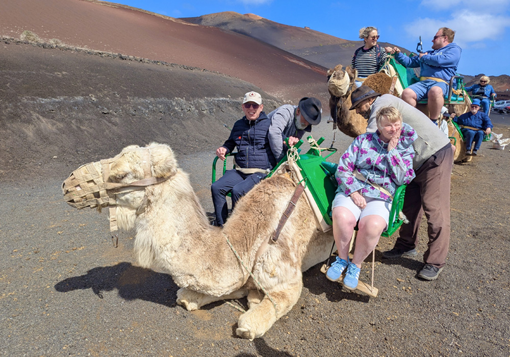 Jollydays Supported Holidays Egypt Camel Holiday